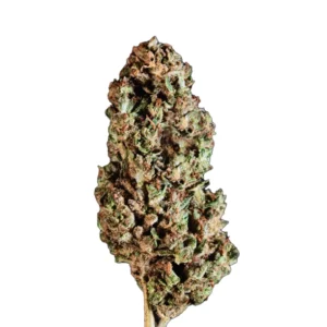Flower 2