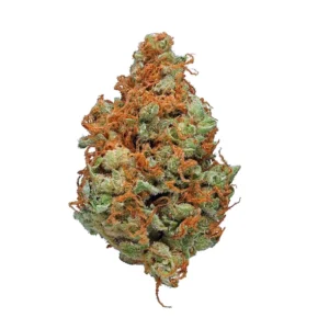 Flower 4